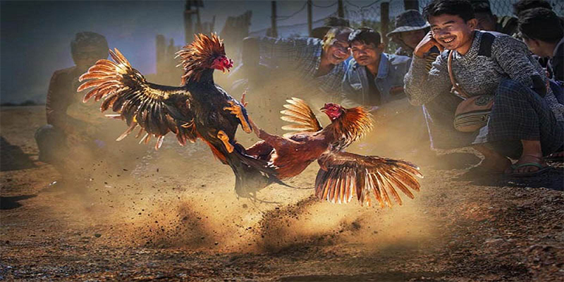 888to xổ số bữa nay