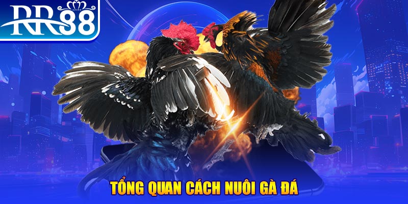 888to game nổ hũ rút tiền mặt là gì