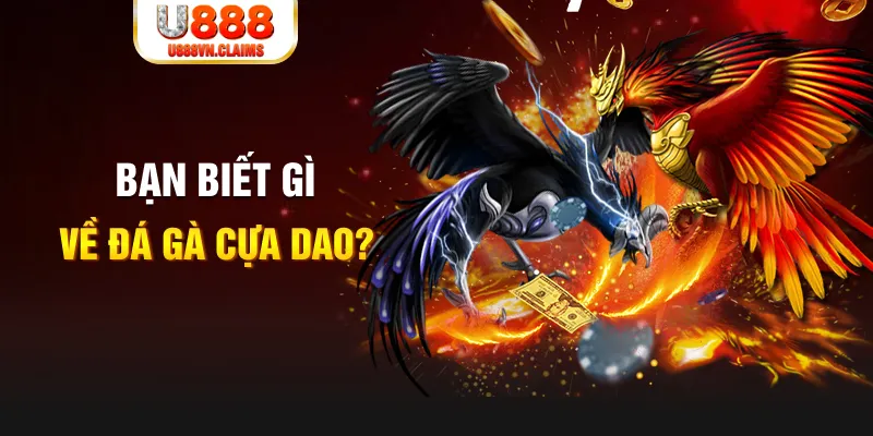 888to SW Xổ Số