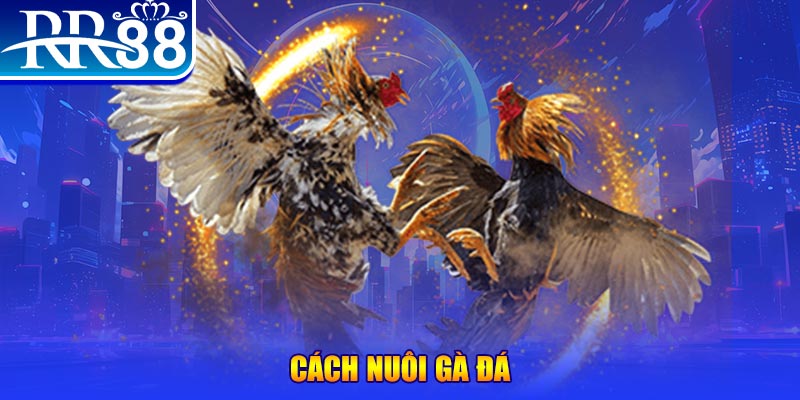 888to đăng nhập phỏm đổi thưởng