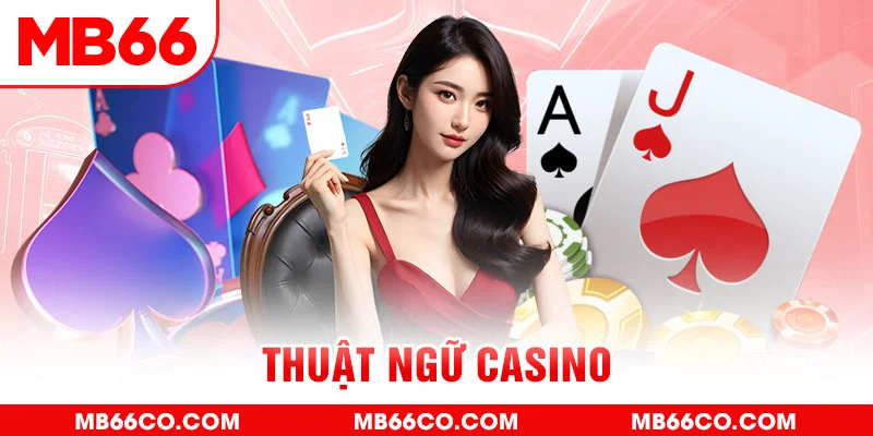 888to gà chọi c1 mới nhất