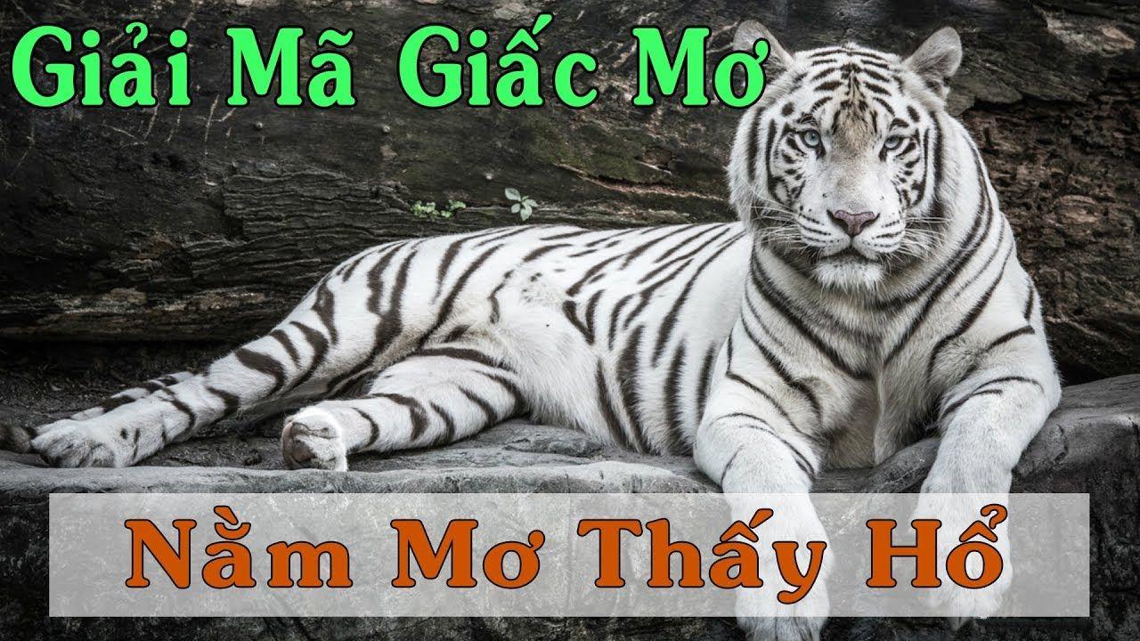 888to nổ hũ là game gì