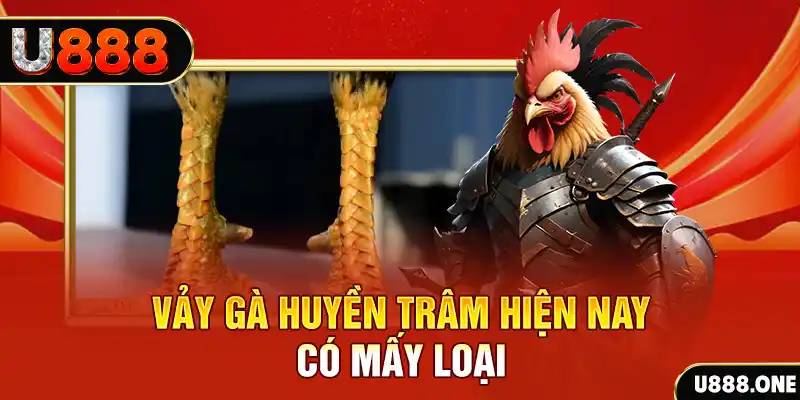 888to casino online là gì