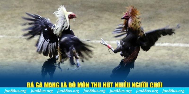 888to nổ hủ nghĩa là gì