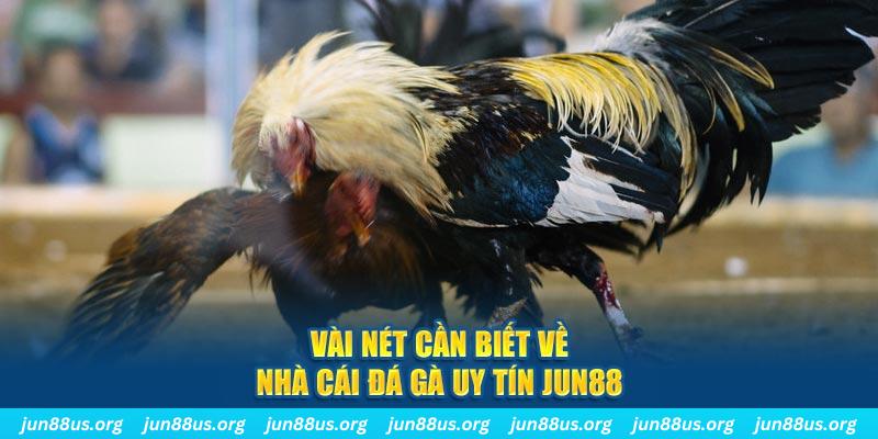 888to đăng nhập phỏm khuyến mãi
