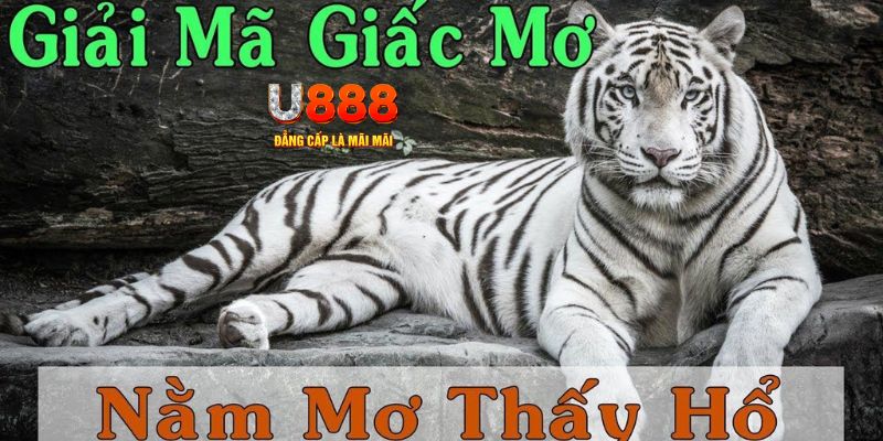 888to xổ số miền bắc xổ số miền bắc