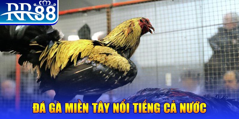 888to xổ số đại phát
