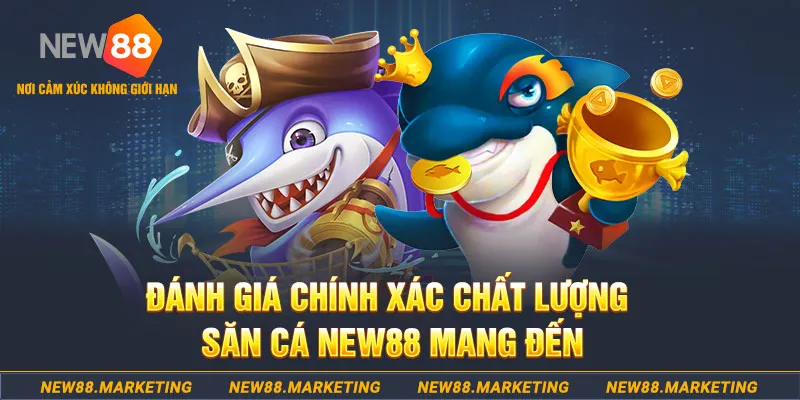 888to đăng nhập mậu binh mới nhất