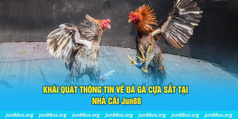 888to xổ số miền bắc thứ bảy hàng tuần