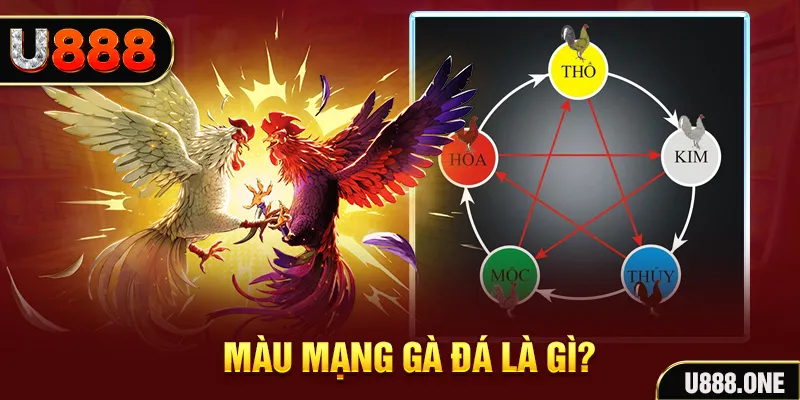 888to xổ số miền trung thứ tư hàng tuần