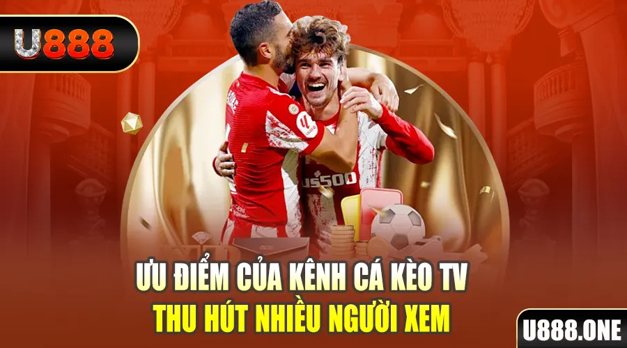 888to gà chọi cu cần