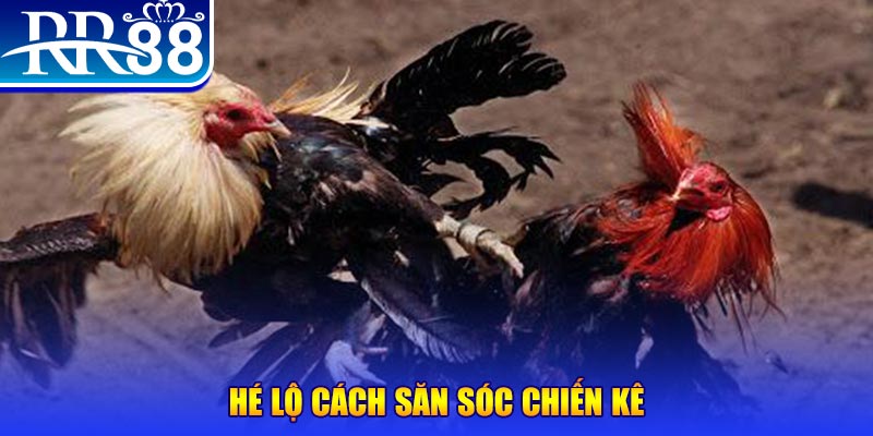 xổ số miền trung thứ tư
