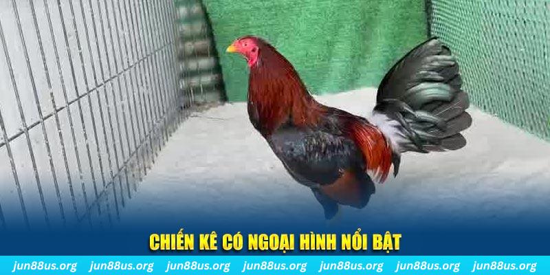 888to game bắn cá