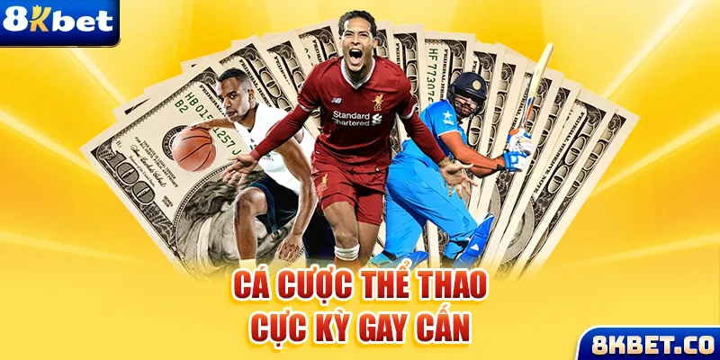 888to xem đá gà trực tiếp